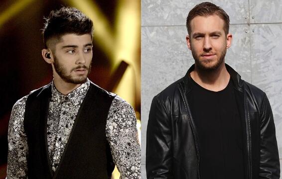 Zayn Malik and Calvin Harris Fight on Twitter, As Artists Do These Days