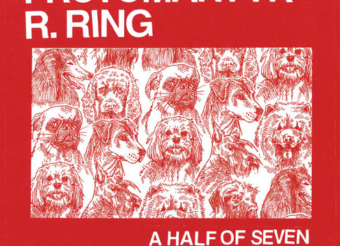 Protomartyr Attend a ‘Blues Festival’ With Kelley Deal on New Track