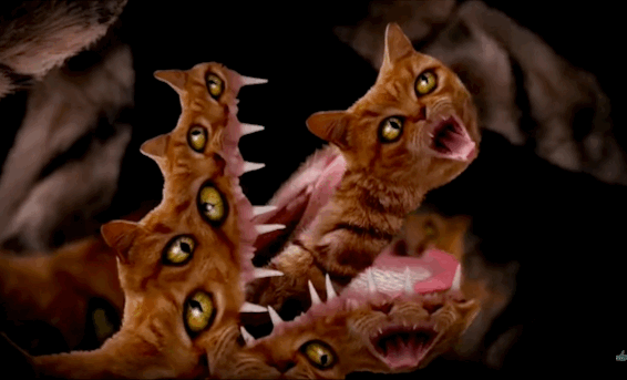 Run the Jewels Descend Into a Kaleidoscopic Demon-Cat Hell in ‘Meowpurrdy’ Video