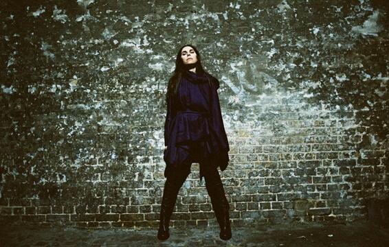 PJ Harvey Shares New Album Teaser
