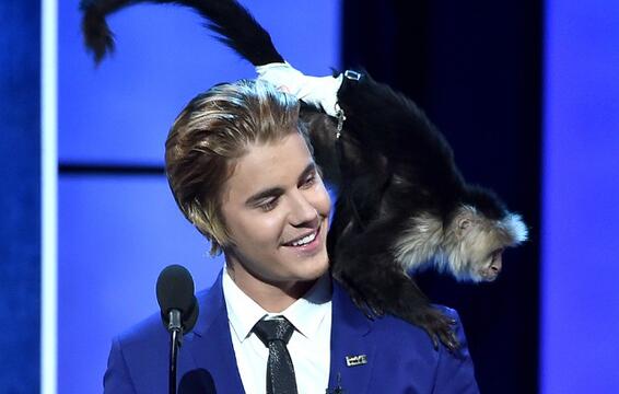 Animal Rights Group on Justin Bieber’s Plan to Get New Monkey: Please Don’t