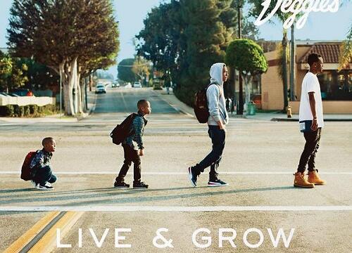 Stream Casey Veggies’ Long-Awaited Debut Album, ‘Live &amp; Grow’