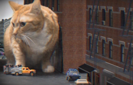 Run the Jewels Let a Cat Terrorize a City in the Video for ‘Oh My Darling (Don’t Meow)’