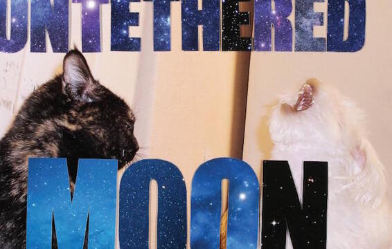 Built to Spill Detail New Album Untethered Moon, Share &quot;Living Zoo&quot;